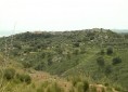 Panorama - Ardore Centro